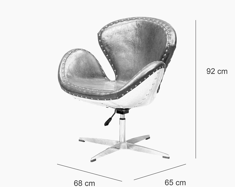 Retro Swan Chair